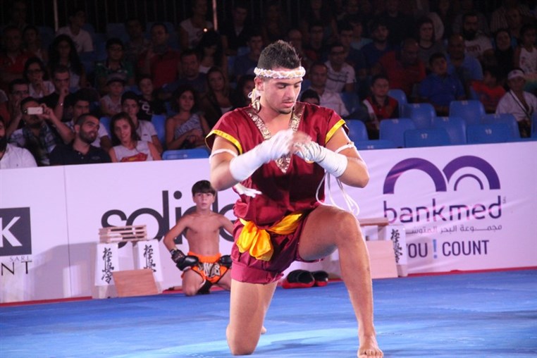 Martial Arts Festival